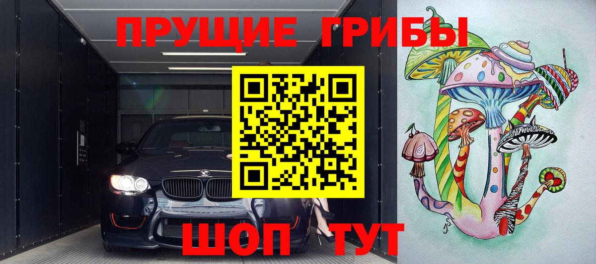 Галлюциногенные грибы мухоморы Звенигород